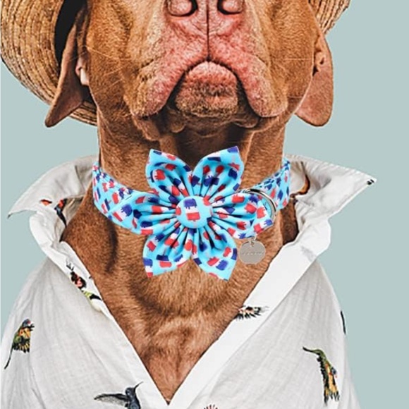 Fourth of July dog collar - Picture 4 of 6